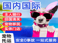 湛江空运公司国际宠物托运 【国
